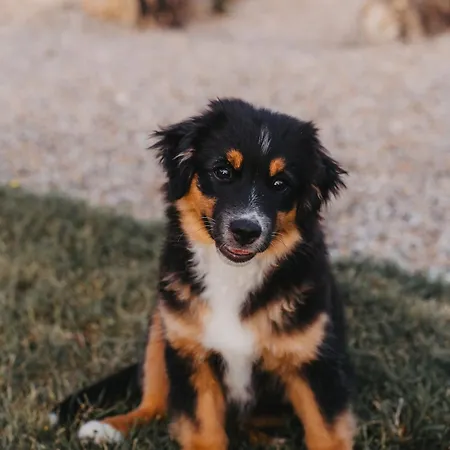 La Foret Campingplatz *