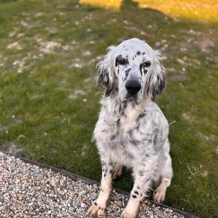 La Foret Saint-Sauveur (Dordogne)